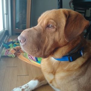 Meet your Posher, Emma